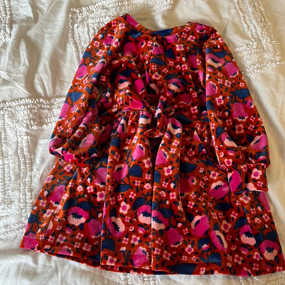 Cat n jack 2t velour dress